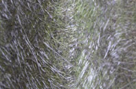 Abbeyhill fibreglass roof work